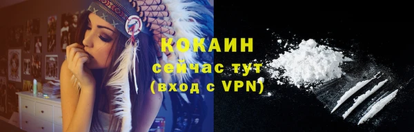 хмурый Вяземский