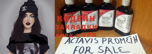spice Болотное