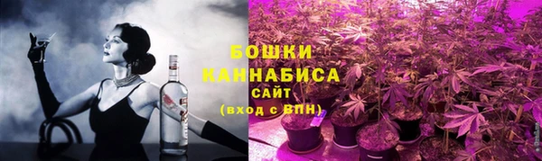 хмурый Вяземский