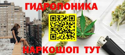 сатива Ирбит