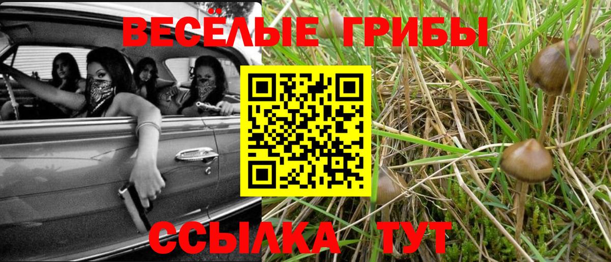 Галлюциногенные грибы GOLDEN TEACHER  Вход с VPN  закладка  Дивногорск 
